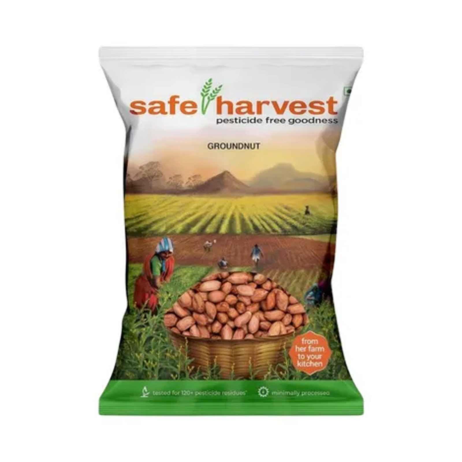safe harvest groundnut (mungfali) | aflatoxin free | pesticide free | chemical free safe harvest groundnut (mungfali) | aflatoxin free | pesticide free | chemical free